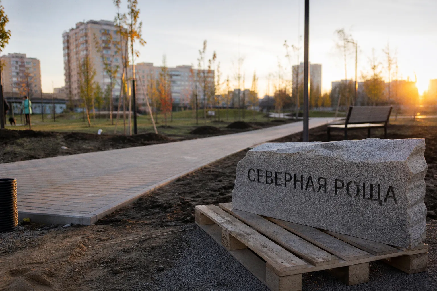 Благоустройство «Северной рощи»: почему финал работ в Московском районе вызывает вопросы