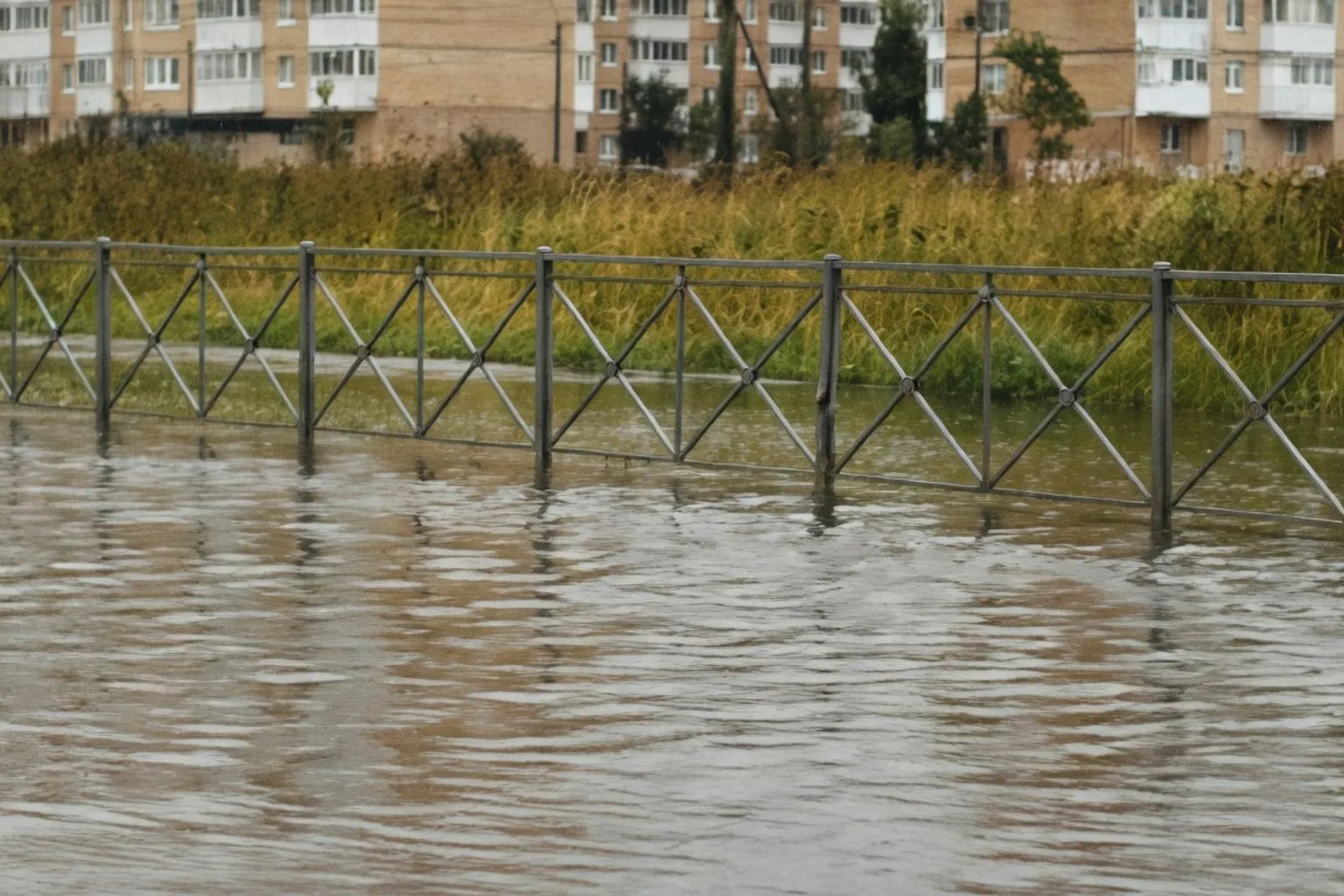 Сильные ливни вновь парализовали движение на улицах Петербурга