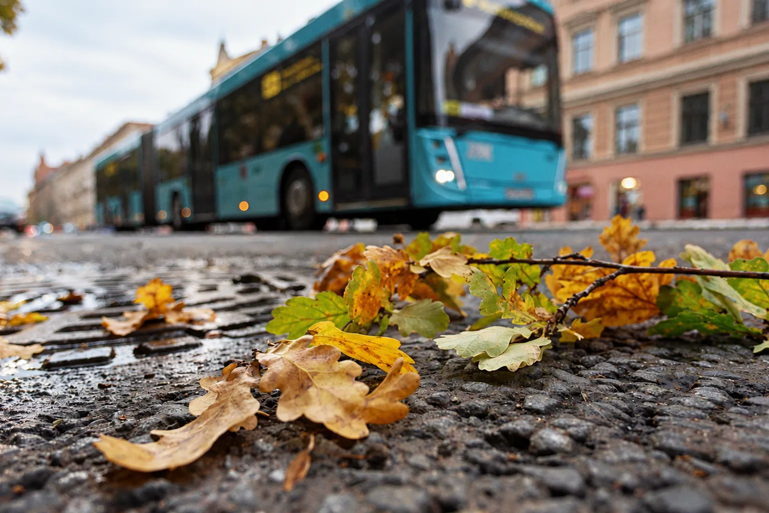 В Петербурге изменились трассы троллейбуса № 17 и двух автобусов